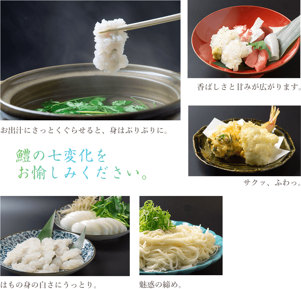 鱧コースの七変化を楽しむ